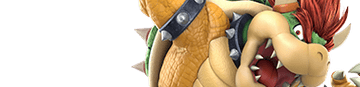pic selection of BOWSER